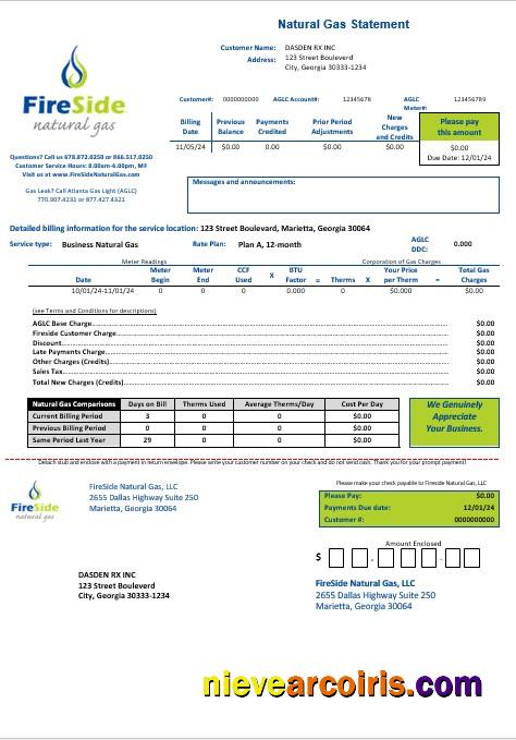 USA California FireSide natural gas busienss utility bill
